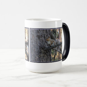Écureuil dans l'arbre Mug magique Morphée