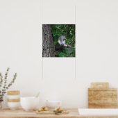 Écureuil dans l'arbre Poster photo (Cuisine)