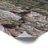 Écureuil dans l'arbre Poster photo (Coin)