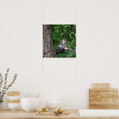 Écureuil dans l'arbre Poster photo (Cuisine)