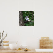 Écureuil dans l'arbre Poster photo (Cuisine)