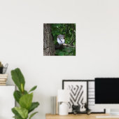 Écureuil dans l'arbre Poster photo (Bureau à domicile)