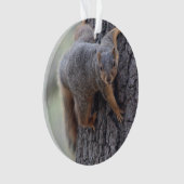 Écureuil de accrochage (devant)