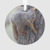 Écureuil de accrochage (dos)