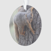 Écureuil de accrochage (devant)