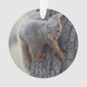 Écureuil de accrochage (devant)