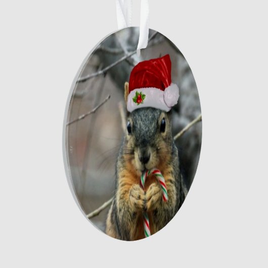 Écureuil de Noël (devant)