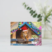 Écureuil de Noël en carte postale de maison (Debout devant)