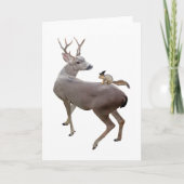 Écureuil de sorcière sur carte de cerf (Devant)