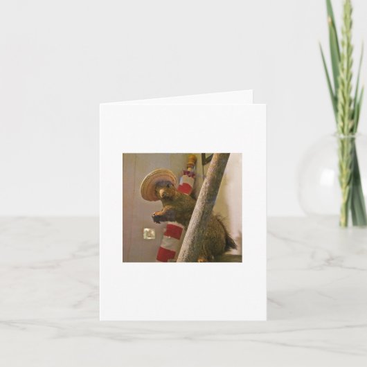 Écureuil d'empaillage dans une carte de note de (Devant)