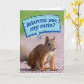 Écureuil Drôle - Tu Veux Voir Mes Noix ? Carte d'a (Fleur jaune)