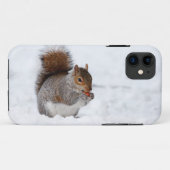 Écureuil en hiver iPhone 5 Coque (Dos (Horizontal))