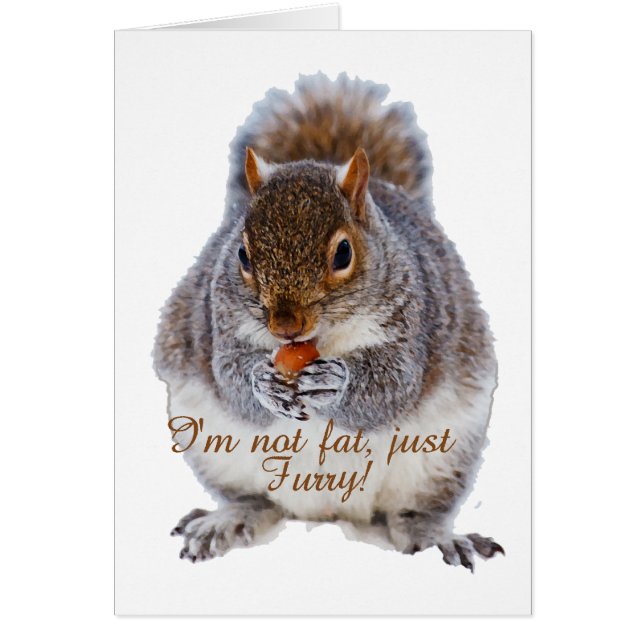 Écureuil gras (Devant)