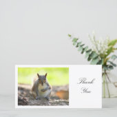 Écureuil gris - Merci (Debout devant)