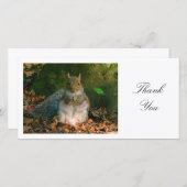 Écureuil gris - Merci (Devant / Derrière)