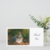 Écureuil gris - Merci (Debout devant)