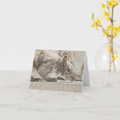 Écureuil gris oriental - Carte blanche (Fleur jaune)