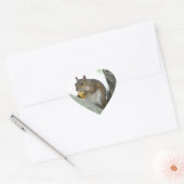 Écureuil manger Chien de Corne Stickers (Enveloppe)