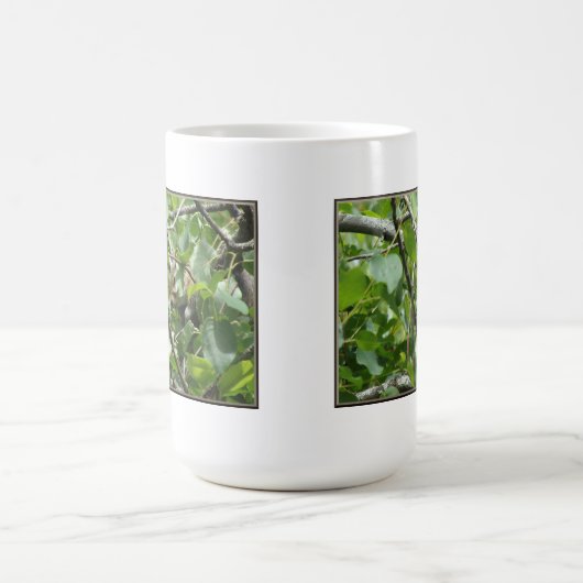 Écureuil masquant la Mug (Centre)