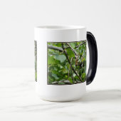 Écureuil masquant la Mug (Devant droit)