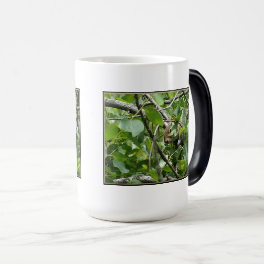 Écureuil masquant la Mug (Devant droit)