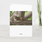 Écureuil mignon, rester en contact, carte (Dos)