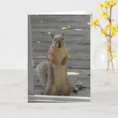 Écureuil mignon, rester en contact, carte (Fleur jaune)