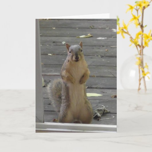 Écureuil mignon, rester en contact, carte (Fleur jaune)