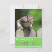 Écureuil mignon sur la clôture Carte de remercieme (Devant)