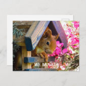 Écureuil Nous Avons Déplacé Carte Postale (Devant / Derrière)