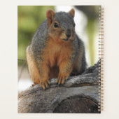 Écureuil personnalisé mignon (Dos)