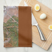 Écureuil, pin et une serviette de cuisine d'écrou (Quart Plié)