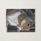 Écureuil - puzzle (Horizontal)