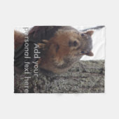 Écureuil regardant votre couverture (Devant (Horizontal))