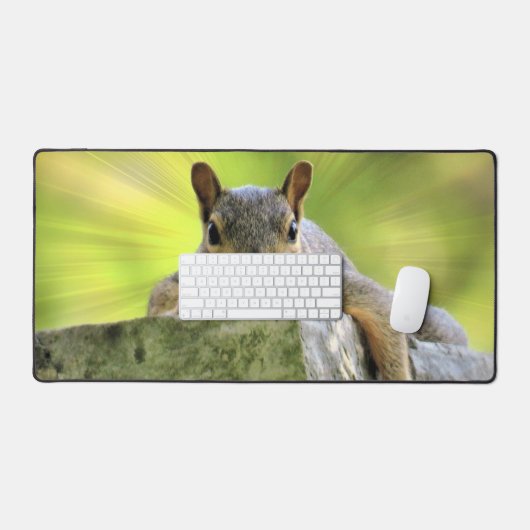 Écureuil relaxant (Clavier et souris)