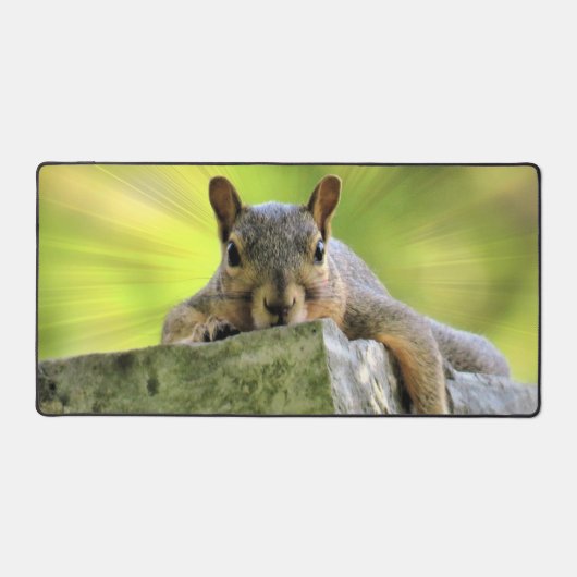 Écureuil relaxant (Recto)