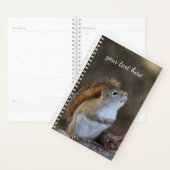 Écureuil rouge (Devant avec enveloppe)