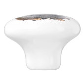 Écureuil rouge dans le bouton en céramique de (Côté)