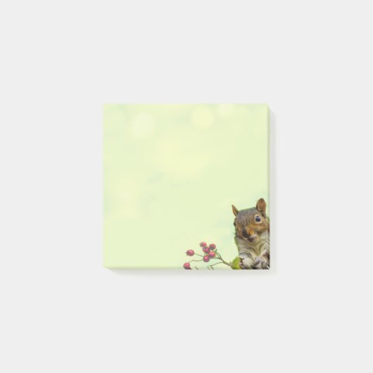 Écureuil sauvage mignon sur des notes Post-it vert (Devant)