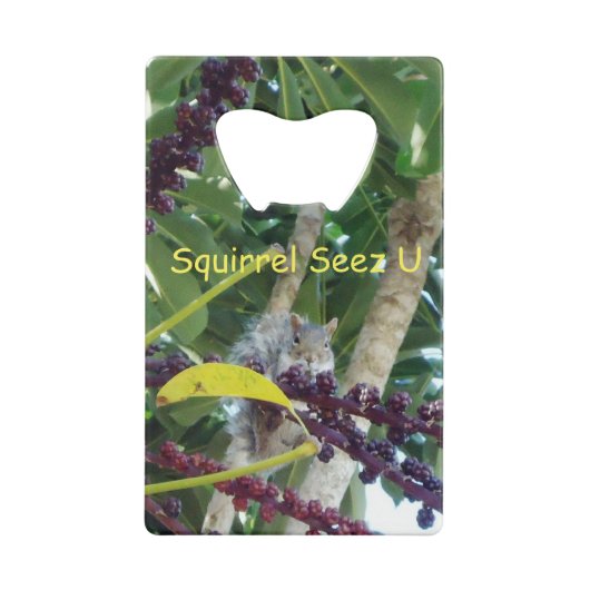 Écureuil Seez U (Dos)