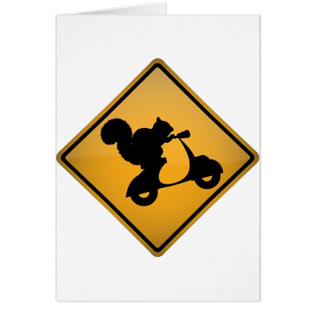 Écureuil sur le scooter (Devant)