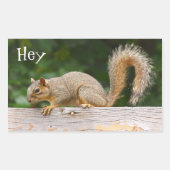 Écureuil sur Stickers de clôture (Devant)