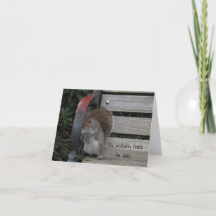 Écureuil sur une carte d'évaluation du banc de par