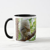 Écureuil sur une tasse d'animal de branche (Gauche)