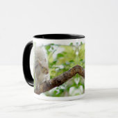 Écureuil sur une tasse d'animal de branche (Devant gauche)
