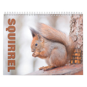 Écureuils 2022 Calendrier mural