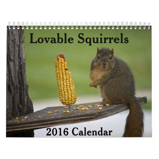 Écureuils amovibles Calendrier 2016 (Protection)