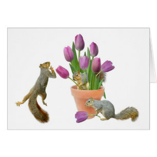Écureuils avec la carte de tulipes