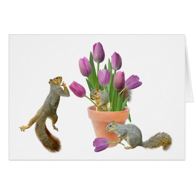 Écureuils avec la carte de tulipes (Devant horizontal)