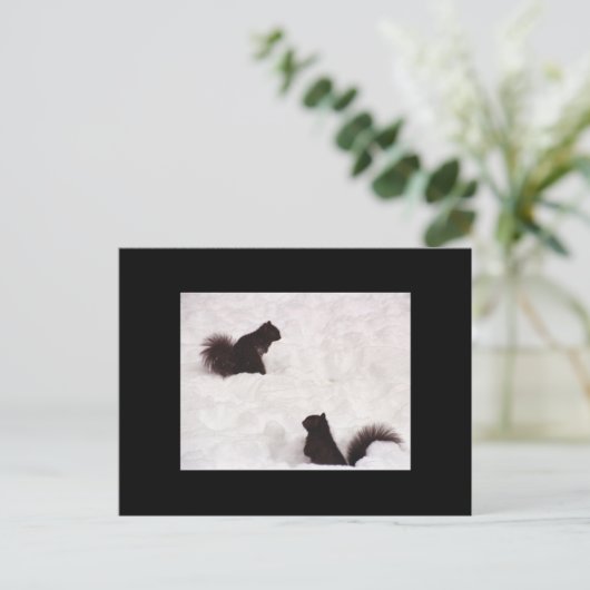 Écureuils dans la carte postale (Debout devant)